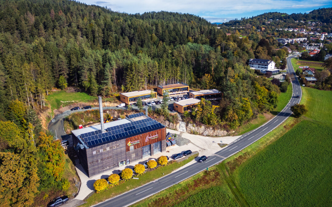 Blickpunkt Sonnenenergie 1/2025